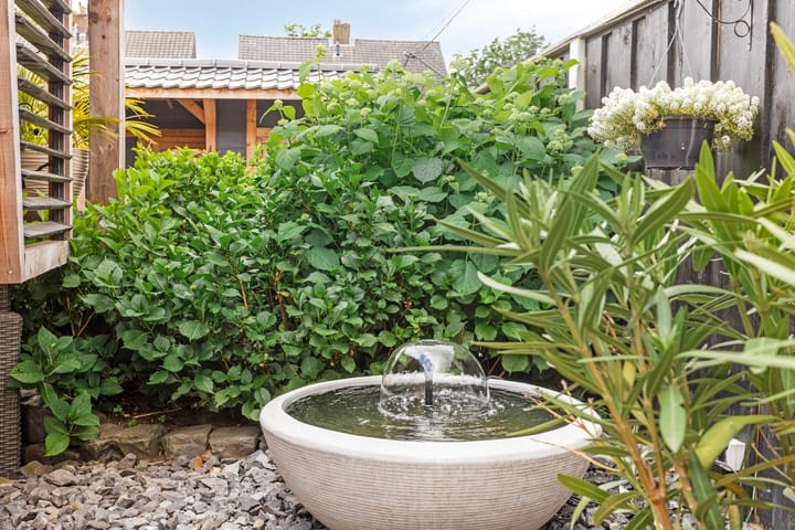 Foto 31 van Van Riebeekstraat 64