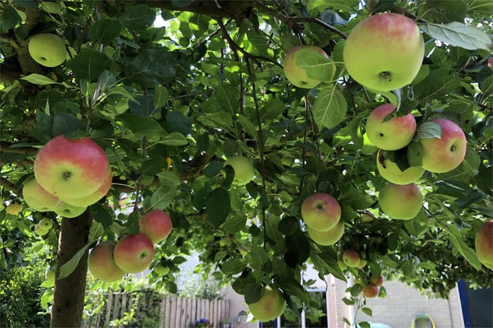 Foto 50 van Vossenkamp 307