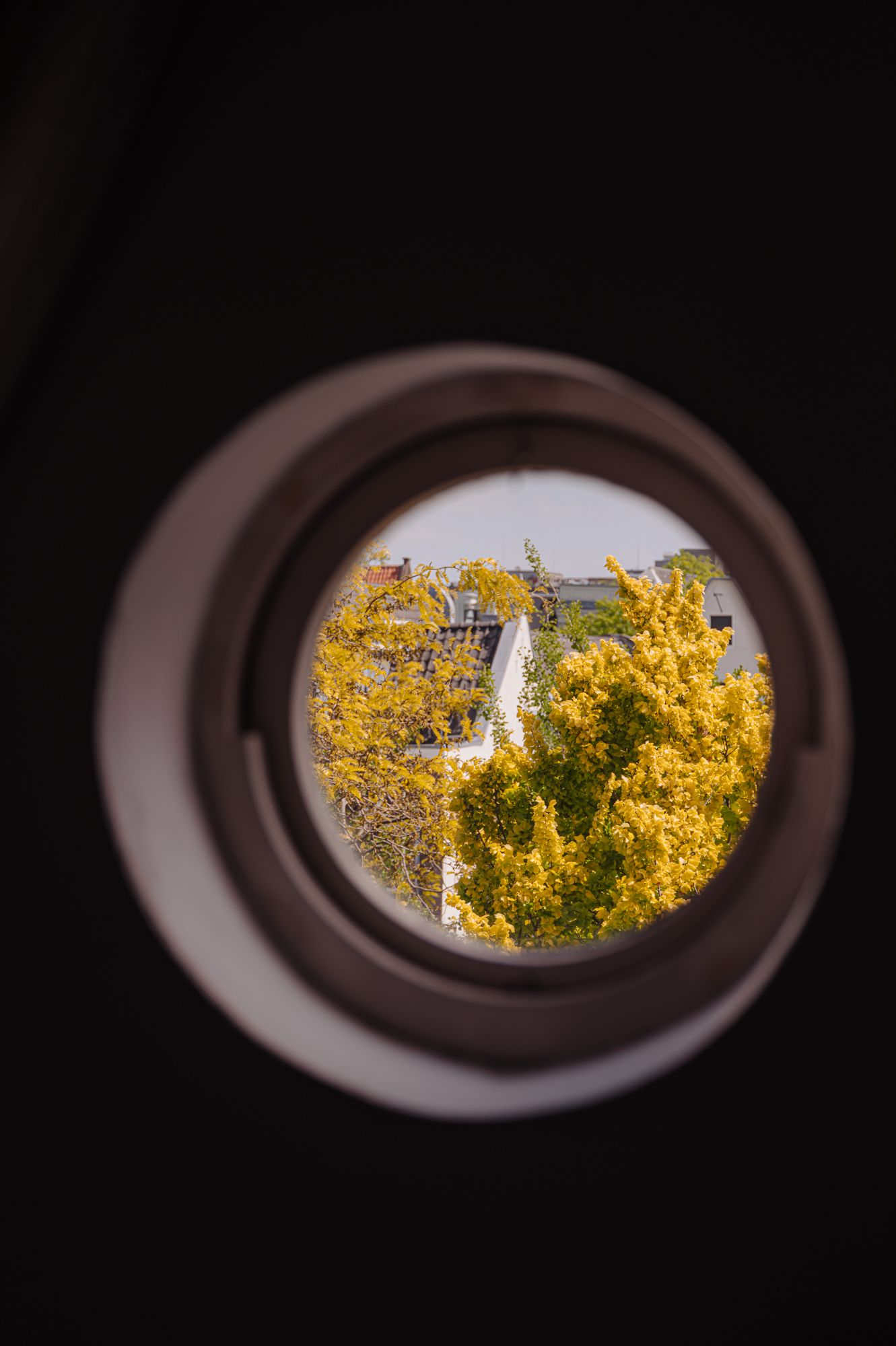 Photo 18 of Prinsengracht 403-C