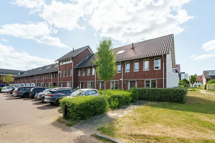 undefined main image