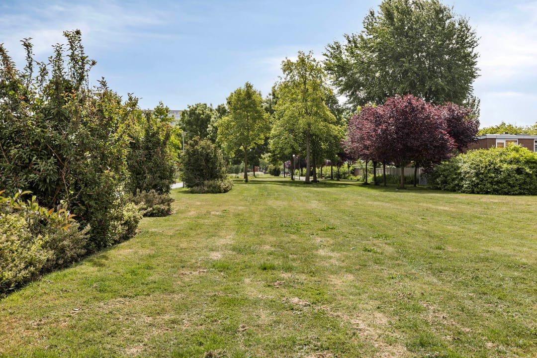 Foto 31 van Baarspad 19