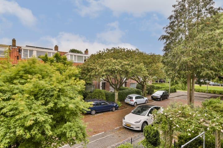 Foto 2 van Buitenzorg 20