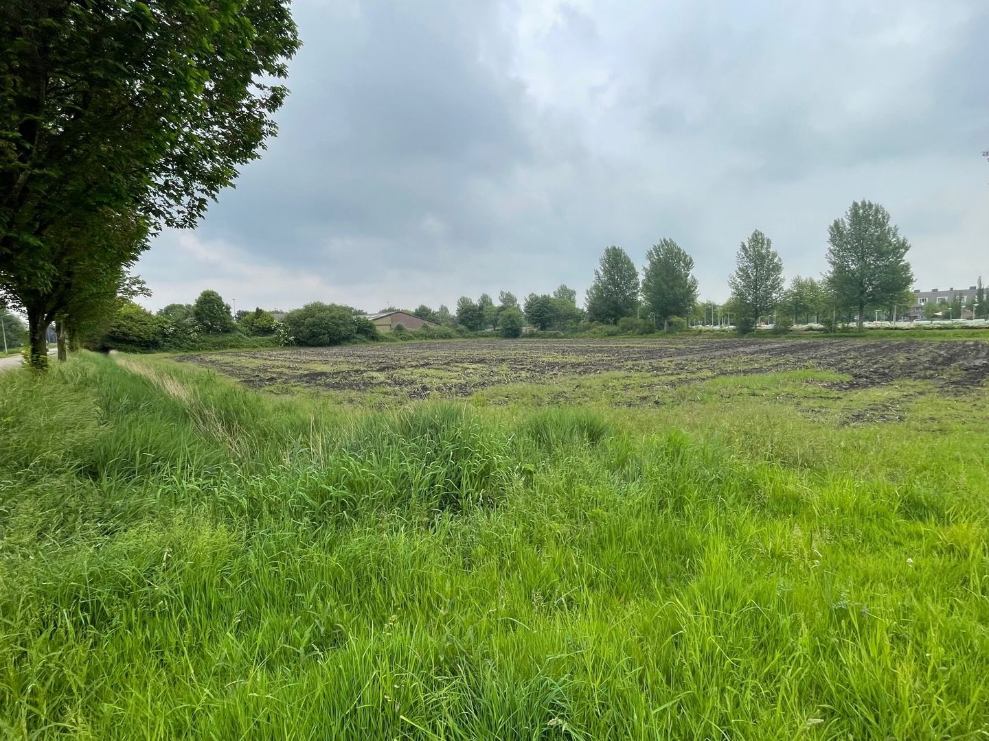 Bekijk foto 5 van Noorddammerweg 68