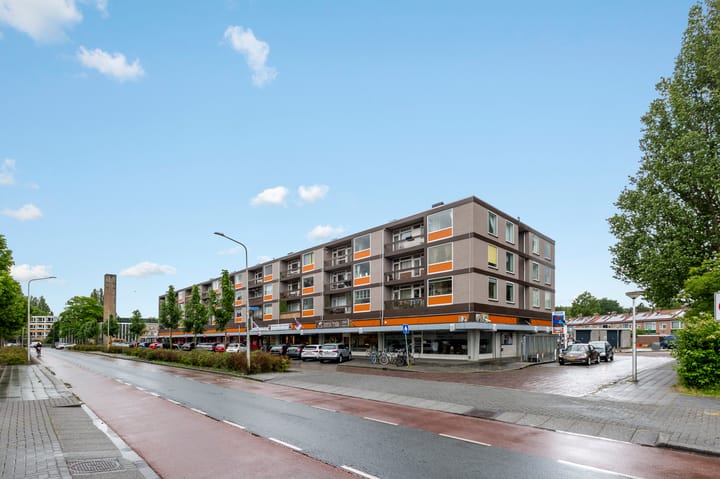 Haagbeuklaan 56