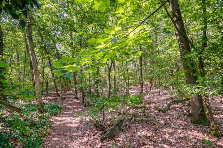 Photo 41 of Boskant 61