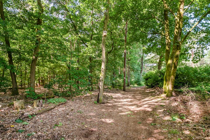 Photo 40 of Boskant 61