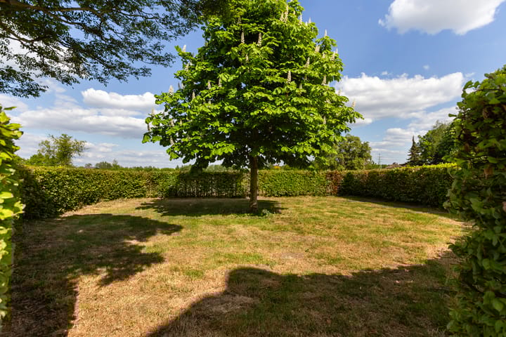 Foto 59 van Wiemanstraat 11