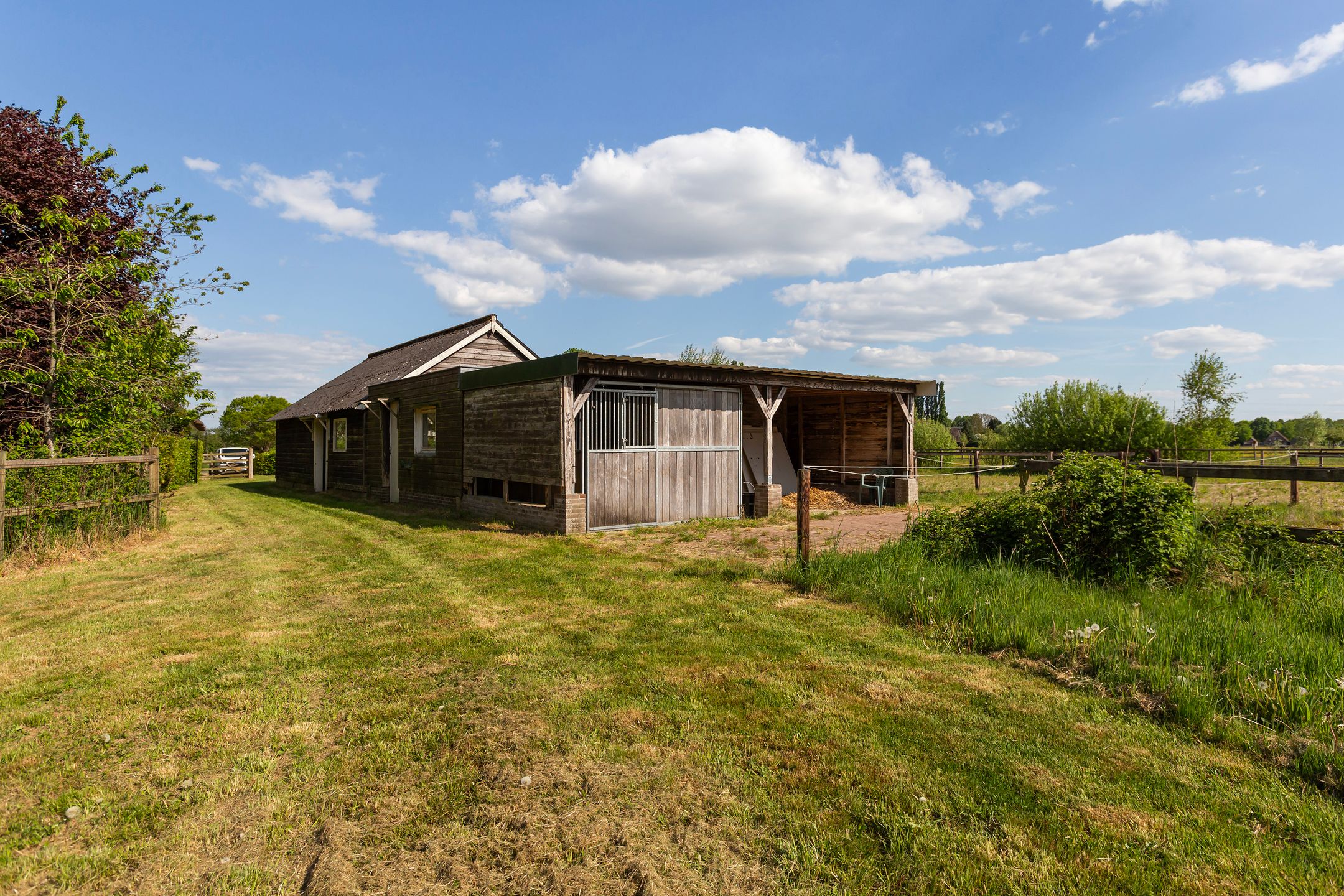 Foto 81 van Wiemanstraat 11