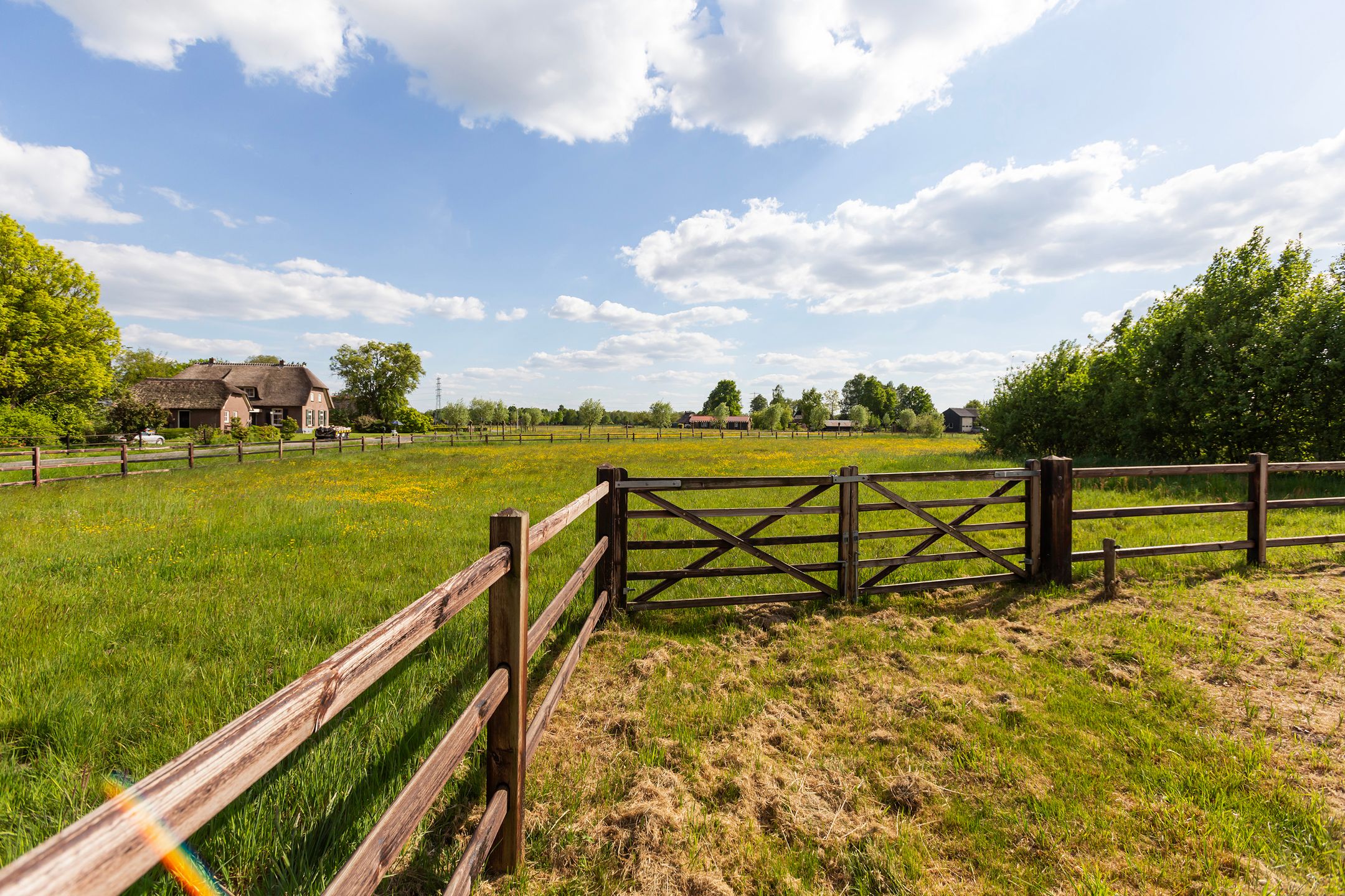 Foto 84 van Wiemanstraat 11