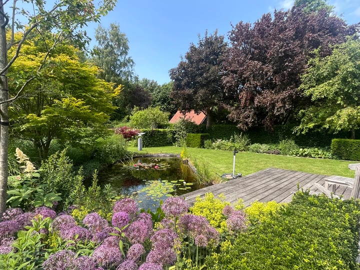 Photo 11 of Fransewegje 1