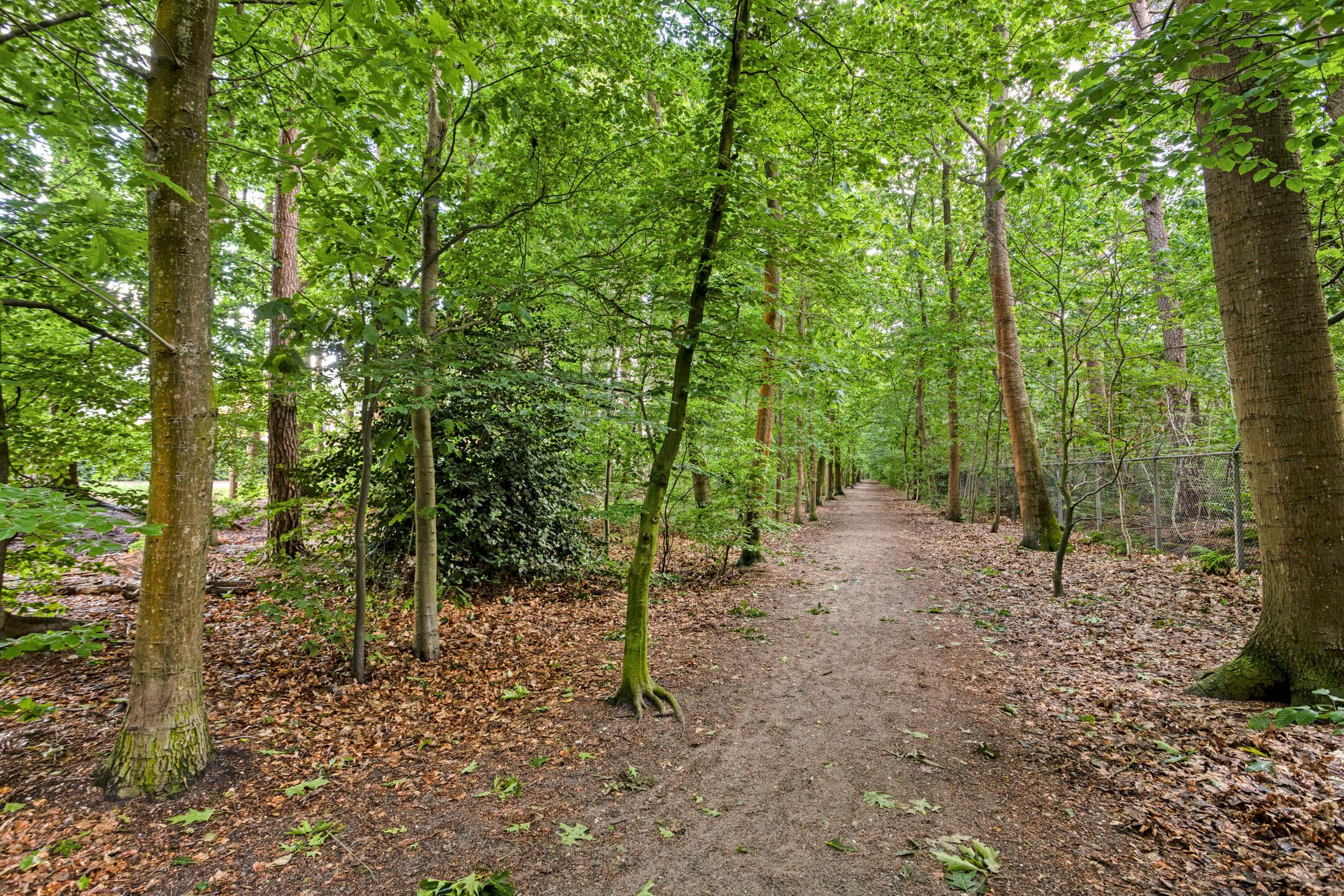 Foto 42 van Frits Koolhovenweg 53