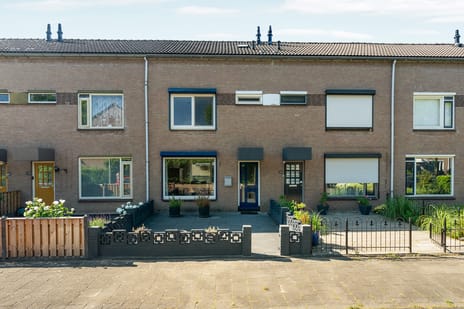 undefined main image