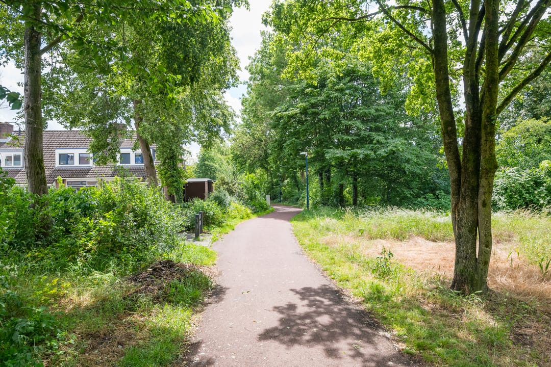Foto 43 van Schaepmanstraat 48