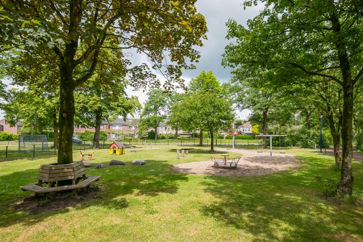 Photo 45 of Schaepmanstraat 48