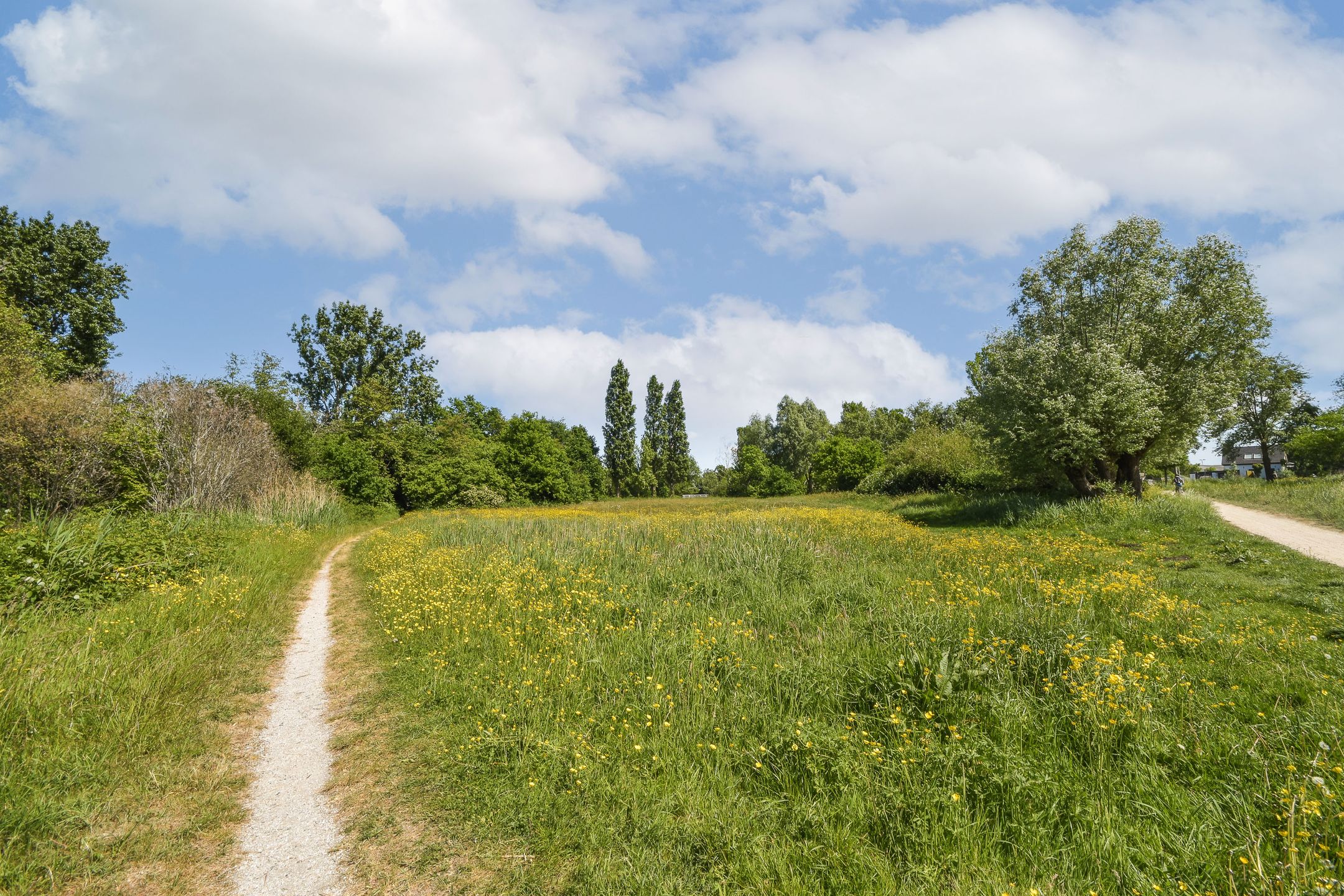 Foto 30 van Ploegspoor 22