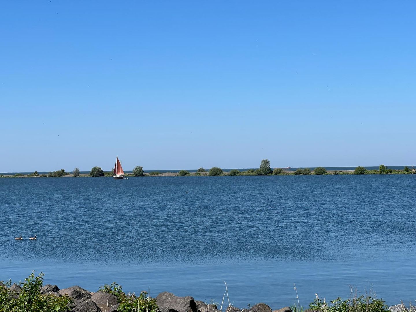 Foto 40 van Oostvaardersdijk 6