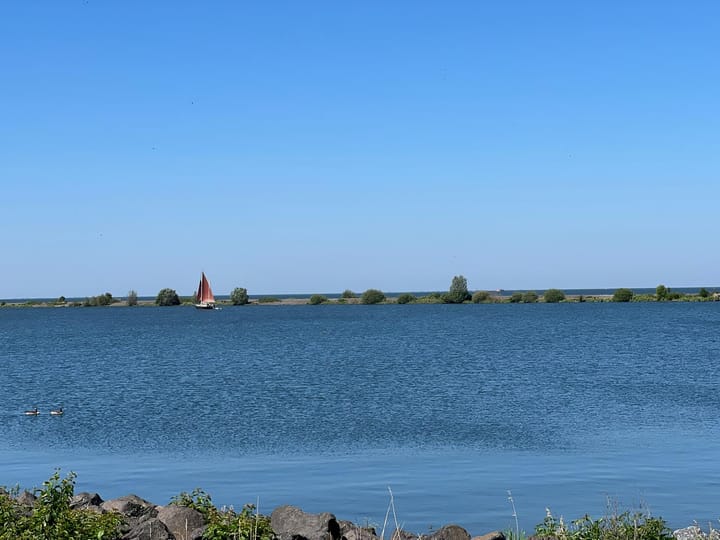 Foto 40 van Oostvaardersdijk 6