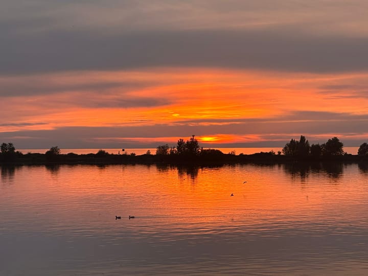 Foto 41 van Oostvaardersdijk 6