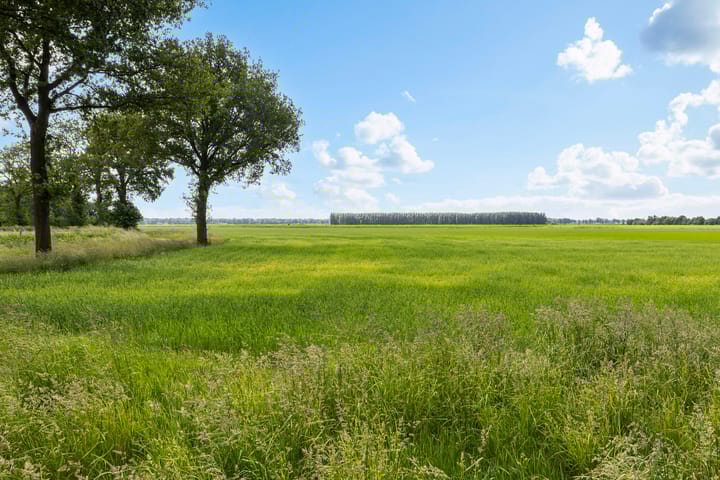 Photo 36 of De Mepscheweg 3