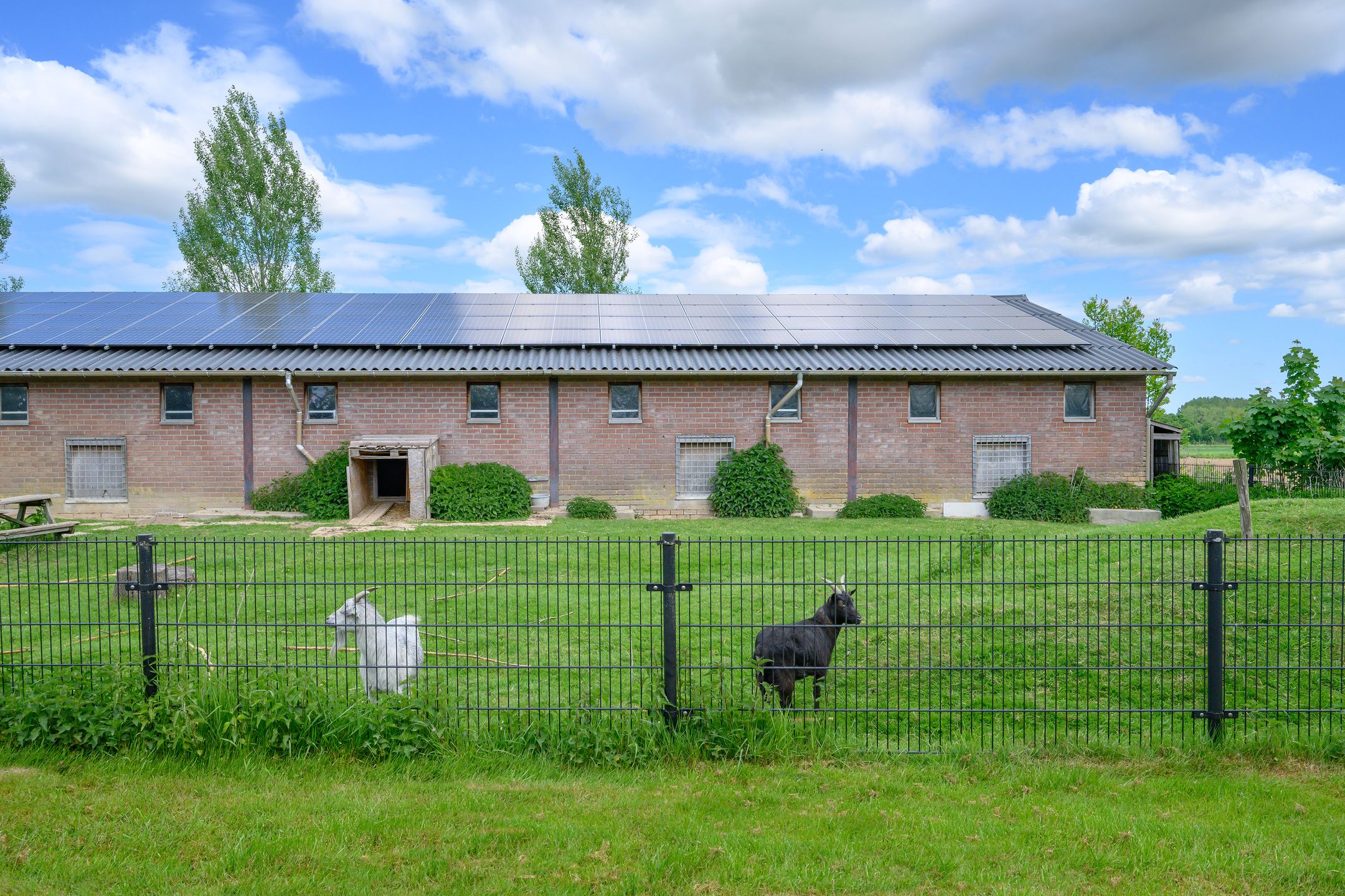 Foto 39 van Covikseweg 6