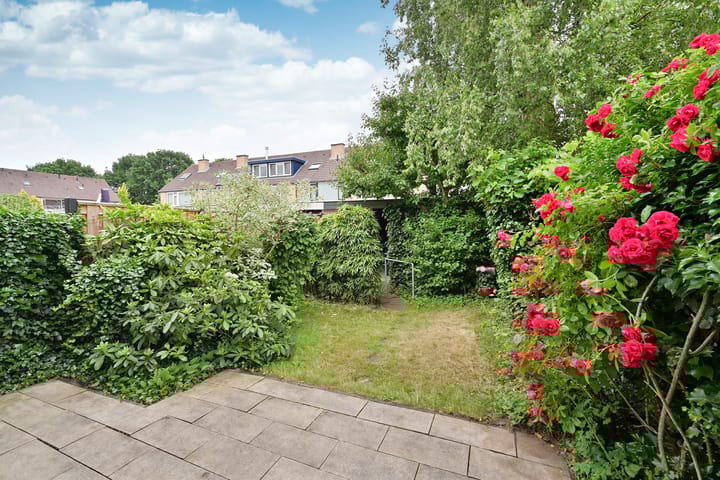 Foto 18 van Tjalk 11