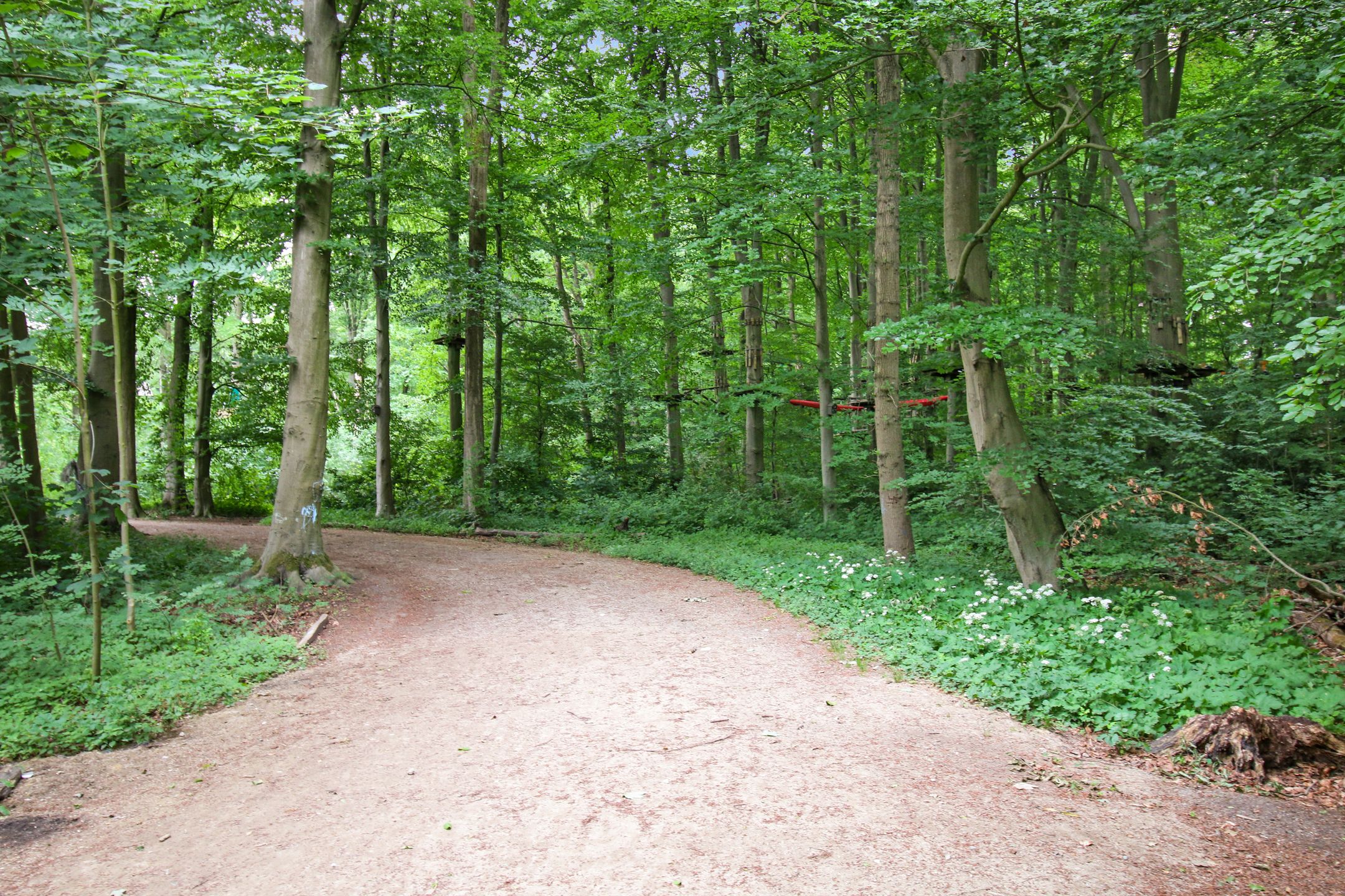 Photo 30 of Amstelveenseweg 918-C