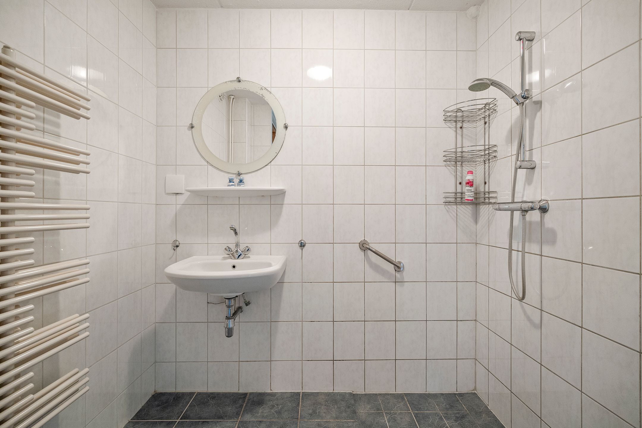 Foto 15 van Wierbalg 1316