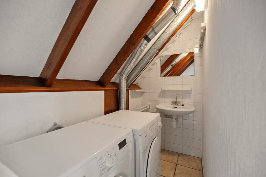 Foto 23 van Wierbalg 1316