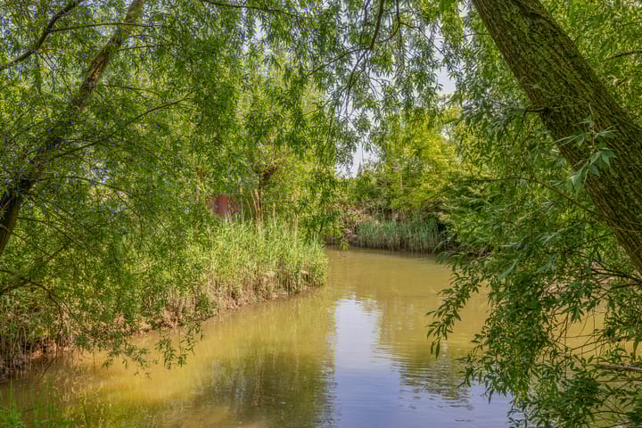 Photo 53 of Gelkenes 47-B