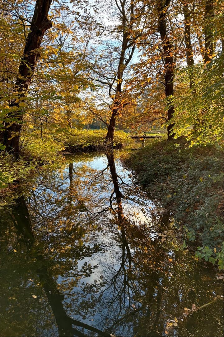 Foto 48 van Robert Kochlaan 12