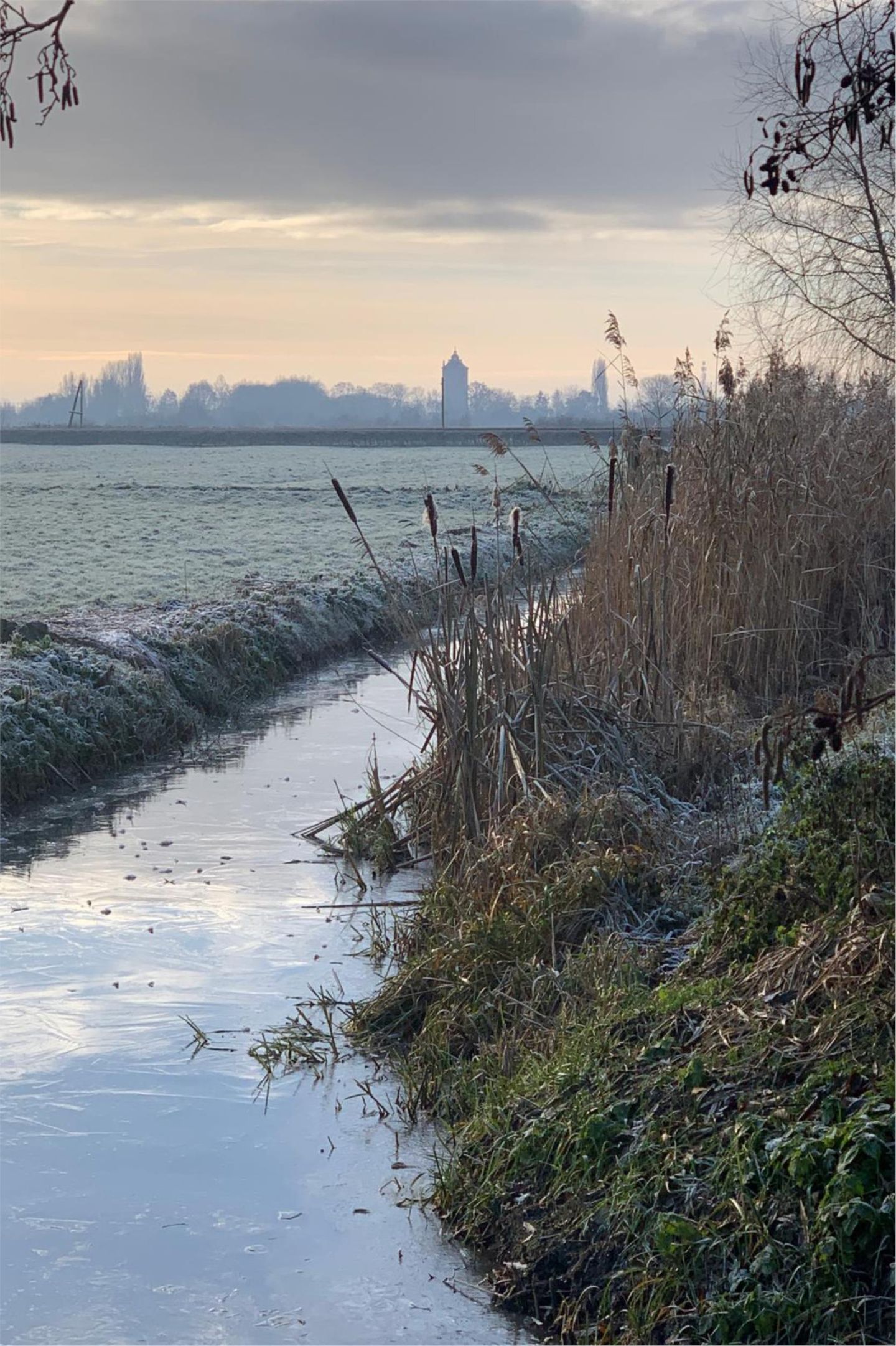 Photo 49 of Robert Kochlaan 12