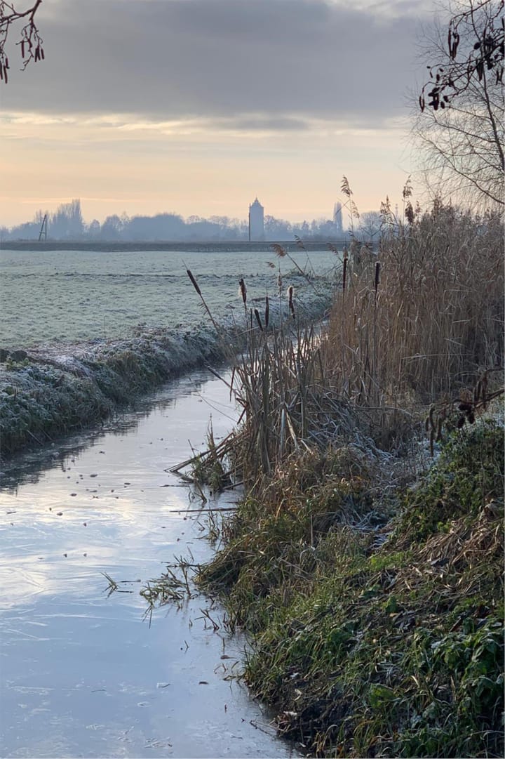 Foto 49 van Robert Kochlaan 12