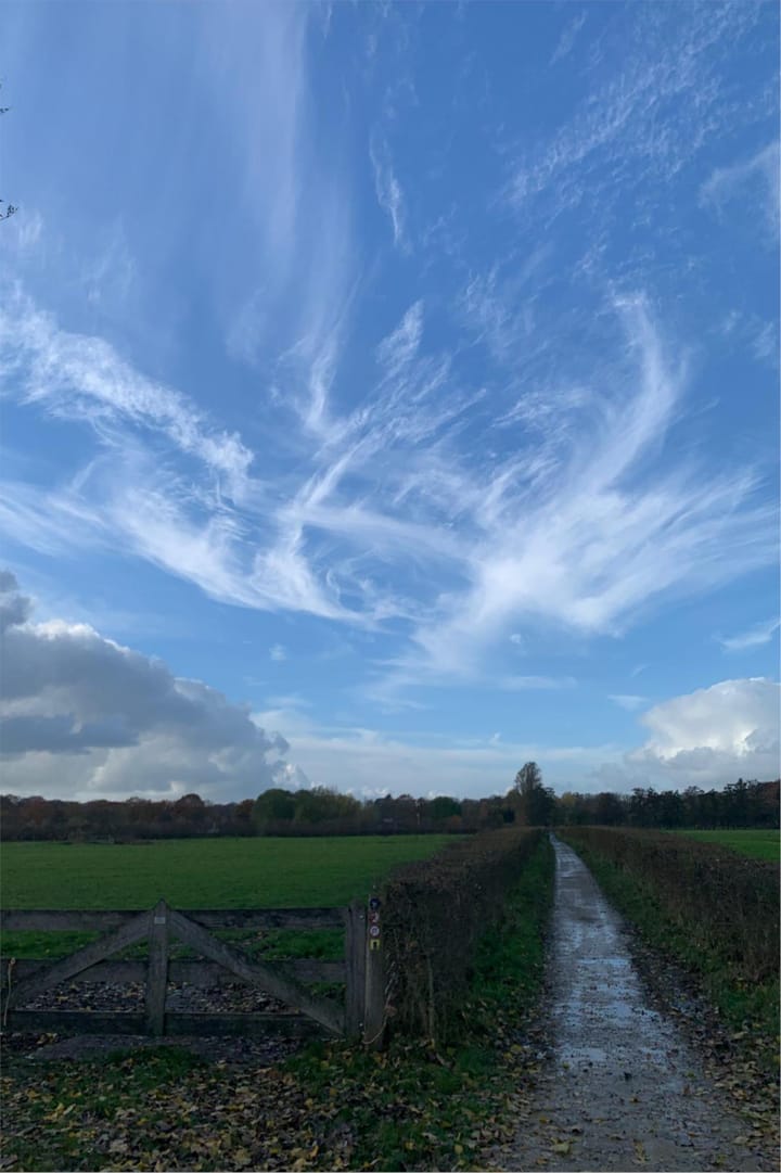 Foto 50 van Robert Kochlaan 12