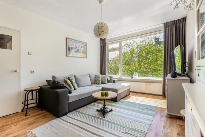 Foto 10 van Van Ostadelaan 218