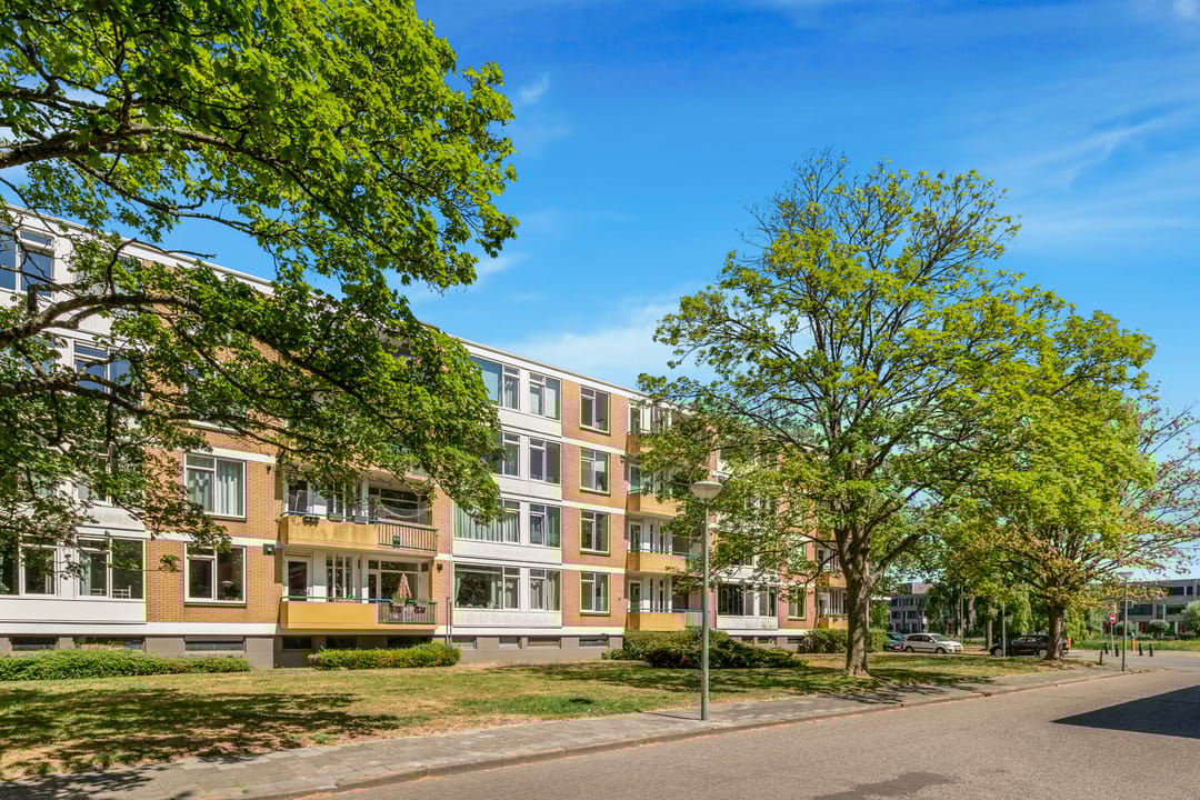 Foto 31 van Van Ostadelaan 218