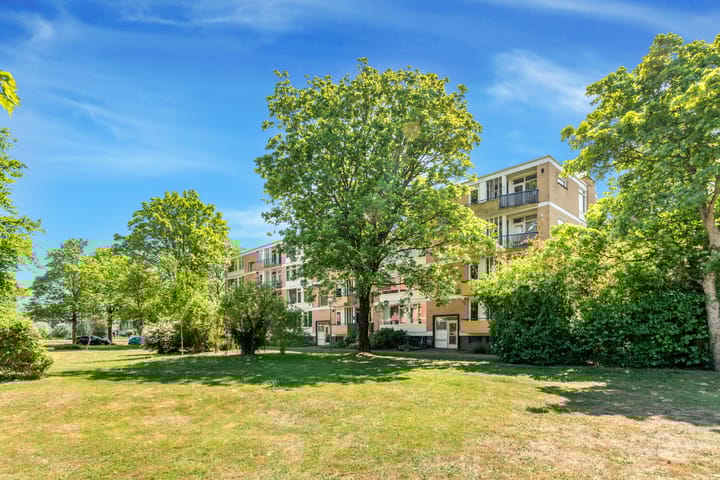 Foto 33 van Van Ostadelaan 218