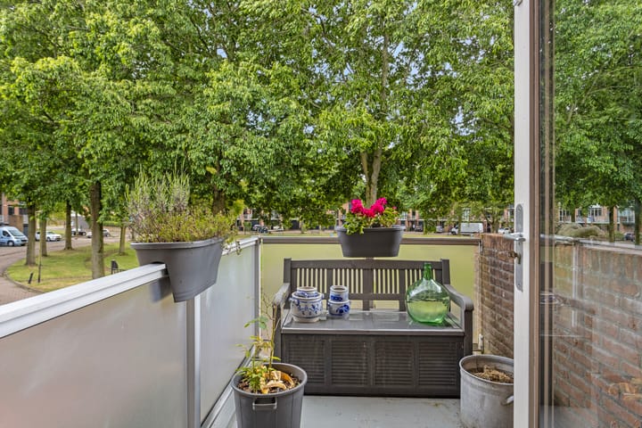 Foto 8 van Heelkruid 46