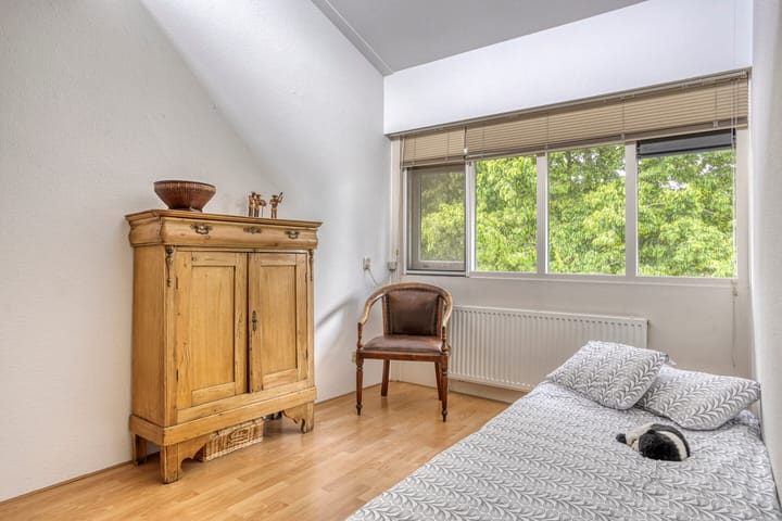 Foto 12 van Heelkruid 46