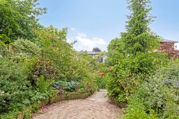 Foto 20 van Heelkruid 46