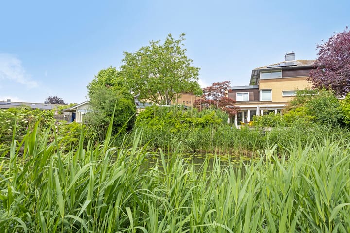 Foto 23 van Heelkruid 46