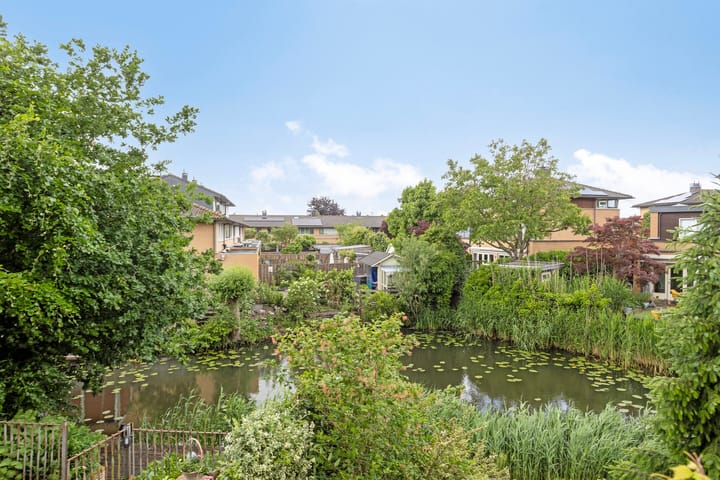 Foto 22 van Heelkruid 46