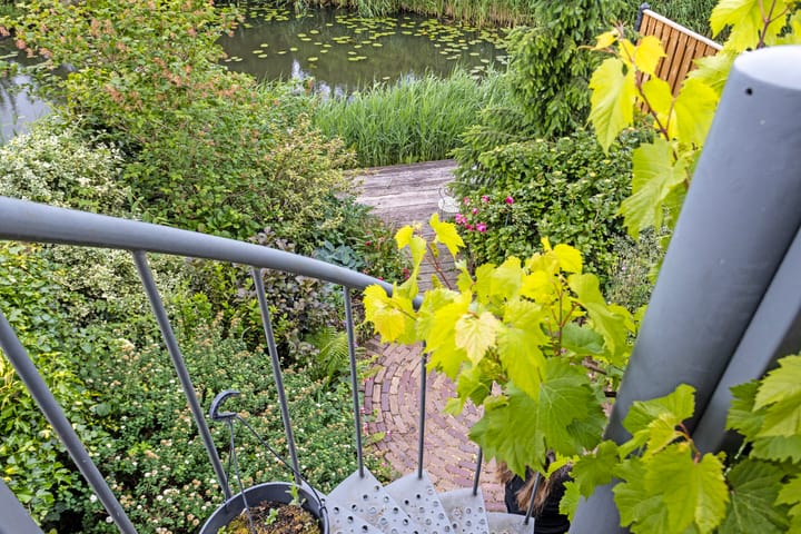 Foto 17 van Heelkruid 46