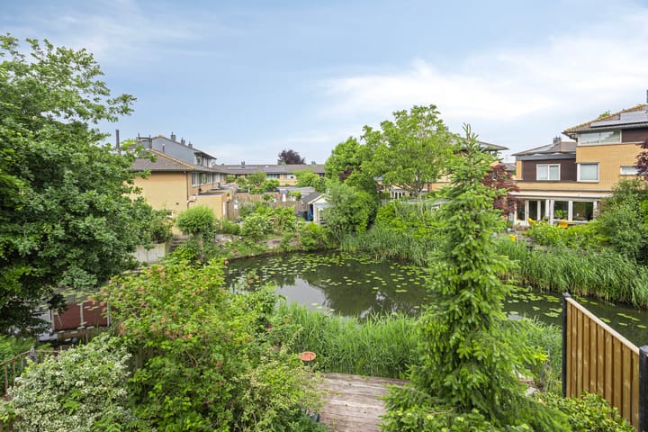 Foto 15 van Heelkruid 46