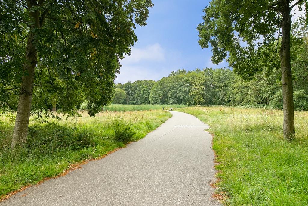 Photo 39 of Buitendijk 97