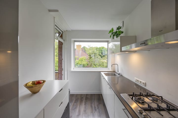 Foto 3 van Groen van Prinstererlaan 65