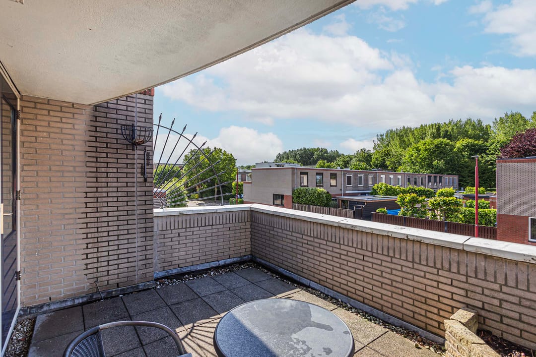 Foto 38 van Frans van Mierishage 8