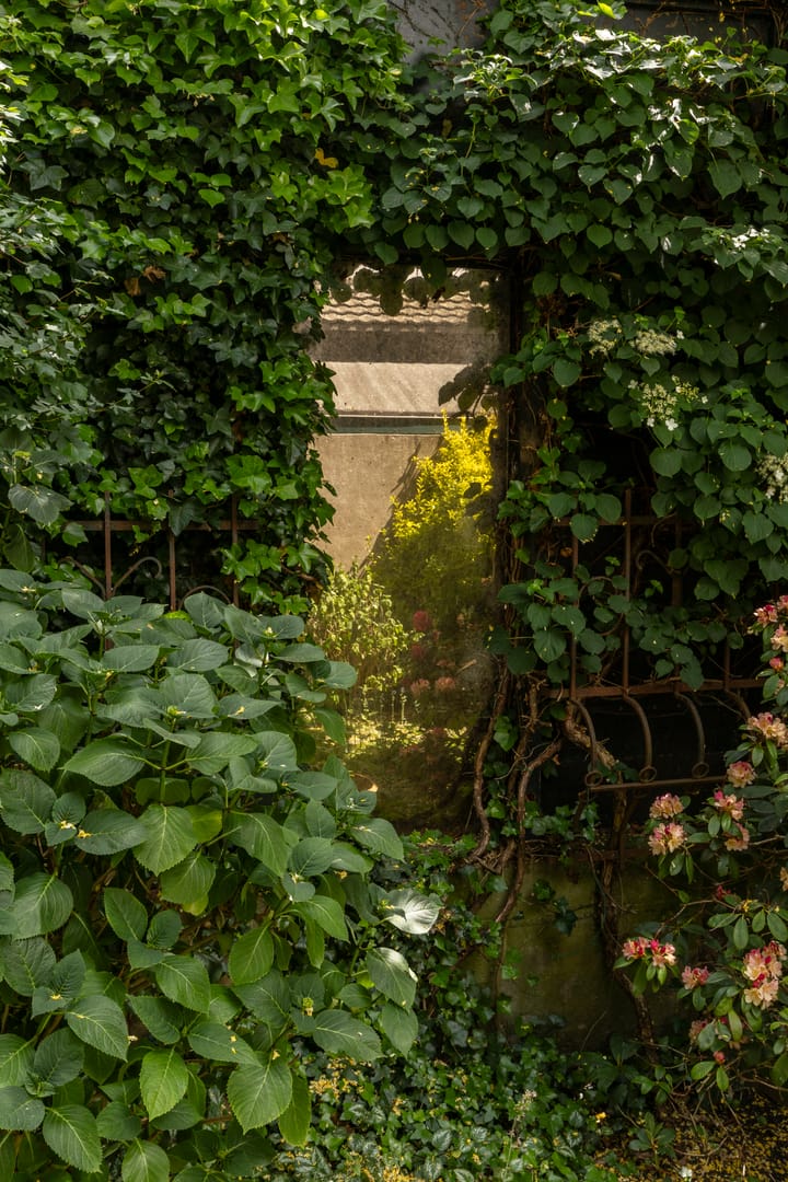 Photo 26 of Prinsengracht 725