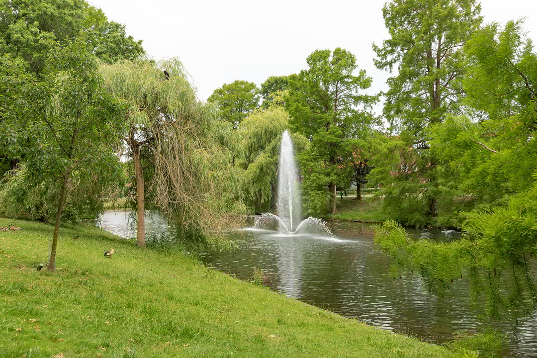 Foto 32 van Lorentzweg 126