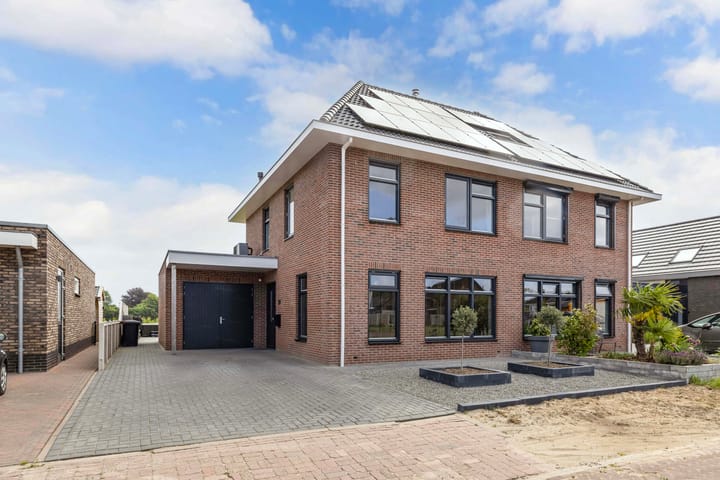 Photo 1 of Fuchsia 20