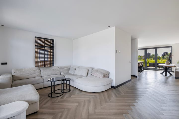 Photo 4 of Fuchsia 20